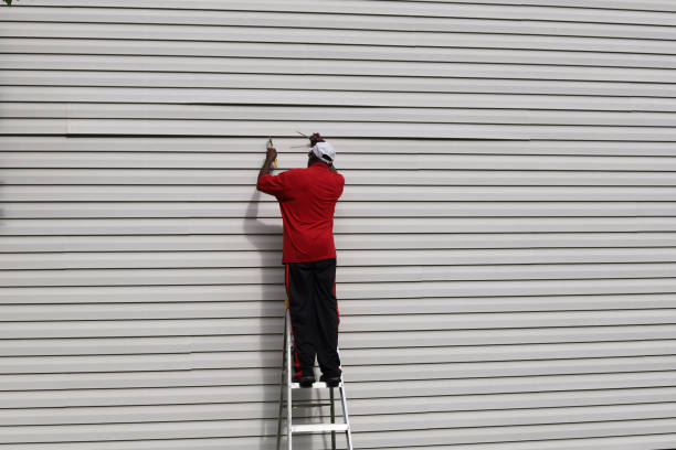 Best Insulated Siding Installation  in Blue Springs, MO